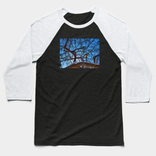 Lamp Post in the Trees Baseball T-Shirt